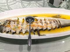 -金枝玉叶上海人家食府(三里河店)