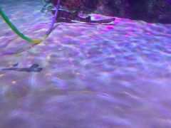 -沈阳海洋探索中心