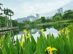 -四海公园(南山区)