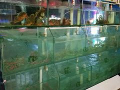 -凯华海鲜火锅·传承三十六年