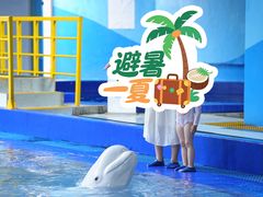 -三亚亚特兰蒂斯度假区