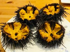 -海胆小馆(东北水饺·春柳店)