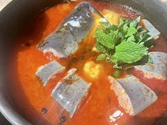 酸汤鱼-毛辣果·酸
