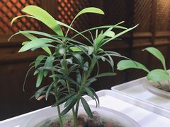 -望京一号·重庆江湖菜(工体店)