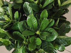 -恒达综合农贸市场(黄山路店)