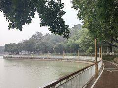 -仙湖旅游度假区