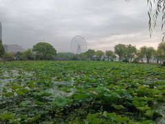 -无锡蠡湖国家湿地公园-蠡园