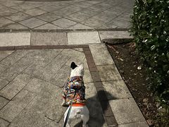 -听TA说宠咖·宠物生活馆(天韵水岸店)