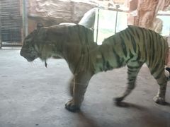 -鄂尔多斯野生动物园