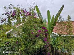 -云南滇池花园国际大酒店温泉