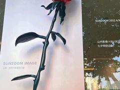 -西安电影制片厂