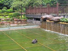 -南宁荔园维景国际酒店·荔园中餐厅