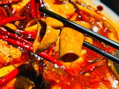 肥肠蹄花锅-马头巷·食景园(苏州总店)