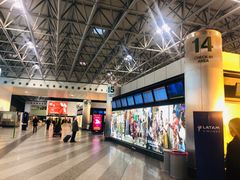 -米兰马尔彭萨国际机场