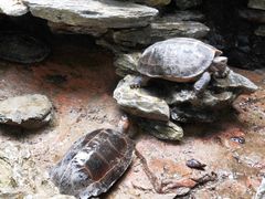 -古龙峡云天玻霸
