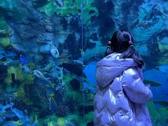 -珠海长隆海洋王国