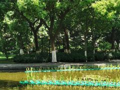 -常州古运河南大街文化旅游区-人民公园