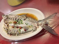 清蒸白鱼-欣旺·迎宾楼·百年无锡菜