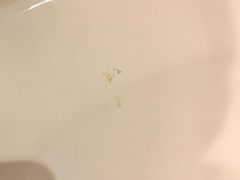 -山东政协大厦维景大酒店