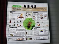 -上海昆虫博物馆