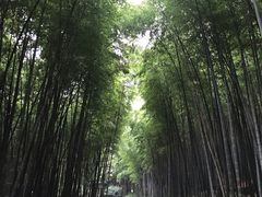 -苏州环秀晓筑养生度假村