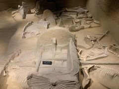 -洛阳周王城天子驾六博物馆