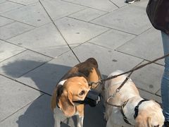 -斯蒂芬主教座堂(Stephansdom)