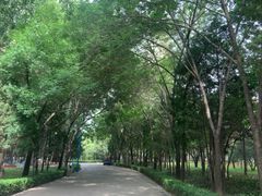 -森林公园(尖草坪区)