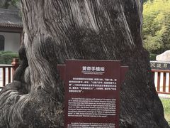 -黄帝陵