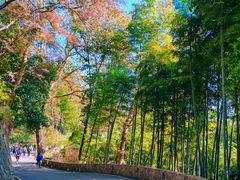 -莫干山风景区