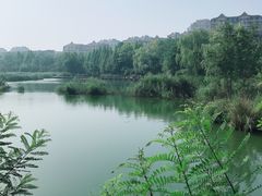 -前关湿地公园