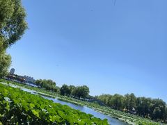 -长春市南湖公园