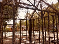 -嘉北郊野公园