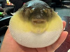 -永安鱼庄·镇江菜(东吴路店)