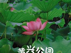 -黄兴公园