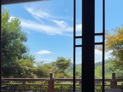 -十八棵（老龙井）御茶园(老龙井店)