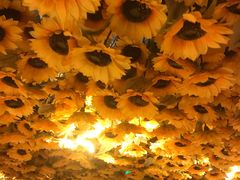 -梵高星空艺术馆(北京旗舰店)