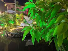 -花溪雨·森林餐厅(石基店)