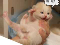 -韩聚屋韩国烤肉餐厅(新北万达店)