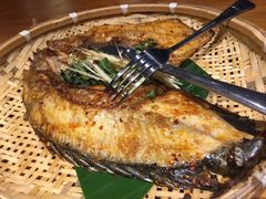 -云海肴·汽锅鸡·云南菜(天津国金汇店)