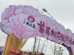 -墨潭桃花岛风景区