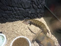 -未来动物城动物主题公园(大悦城店)