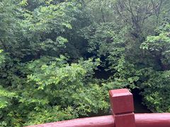 -狼山风景名胜区