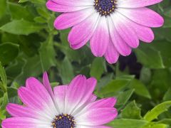 -崇圣寺三塔文化旅游区