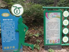 -大岭沟猕猴桃谷风景区