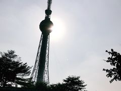 -文华公园(禅城区)