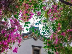 -深圳国际园林花卉博览园