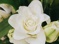 -花心思鲜花店(武昌徐东店)