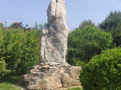 -云岗森林公园