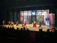 -巴黎迪士尼乐园